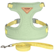Detachable Cat Collar & Harness Set with Tag for Cats & Dogs