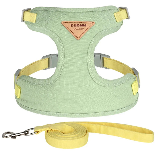 Detachable Cat Collar & Harness Set with Tag for Cats & Dogs