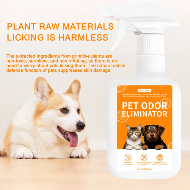 Pet Deodorant Spray – Odor Remover & Disinfectant for Dogs & Cats