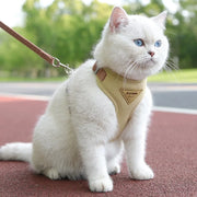 Detachable Cat Collar & Harness Set with Tag for Cats & Dogs