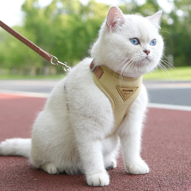 Detachable Cat Collar & Harness Set with Tag for Cats & Dogs