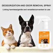 Pet Deodorant Spray – Odor Remover & Disinfectant for Dogs & Cats