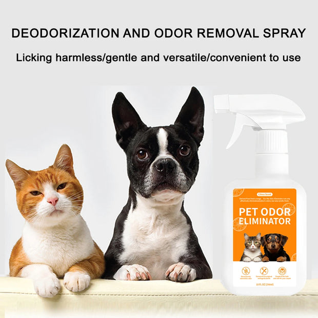 Pet Deodorant Spray – Odor Remover & Disinfectant for Dogs & Cats