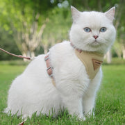 Detachable Cat Collar & Harness Set with Tag for Cats & Dogs