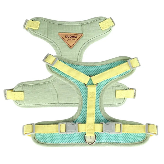 Detachable Cat Collar & Harness Set with Tag for Cats & Dogs
