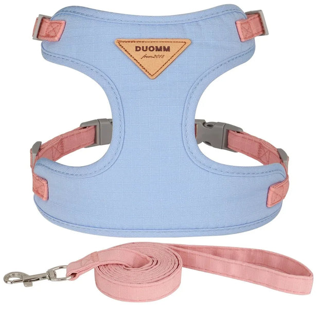 Detachable Cat Collar & Harness Set with Tag for Cats & Dogs