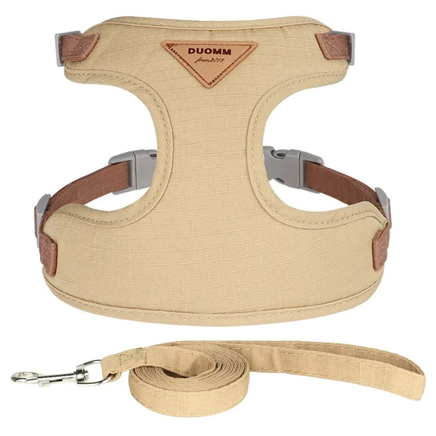Detachable Cat Collar & Harness Set with Tag for Cats & Dogs