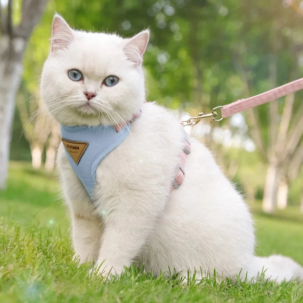 Detachable Cat Collar & Harness Set with Tag for Cats & Dogs