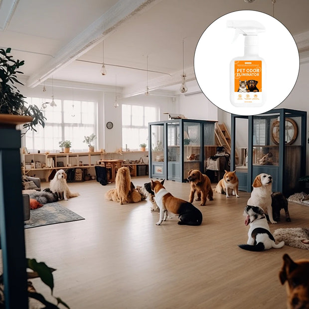 Pet Deodorant Spray – Odor Remover & Disinfectant for Dogs & Cats