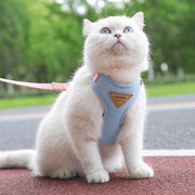 Detachable Cat Collar & Harness Set with Tag for Cats & Dogs