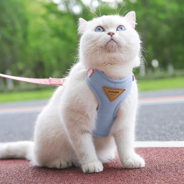 Detachable Cat Collar & Harness Set with Tag for Cats & Dogs
