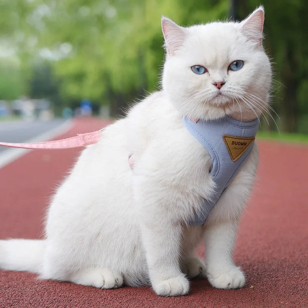 Detachable Cat Collar & Harness Set with Tag for Cats & Dogs